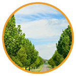 cmda approved Plots in perumbakkam, Plots in chennai, Plots for Sale, Plots in perumbakkam, Residential plots in perumbakkam, Plots for Sale in perumbakkam, Residential plots in perumbakkam, premium plots in perumbakkam